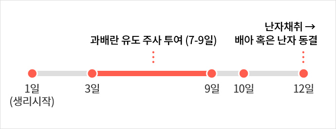난자 동결